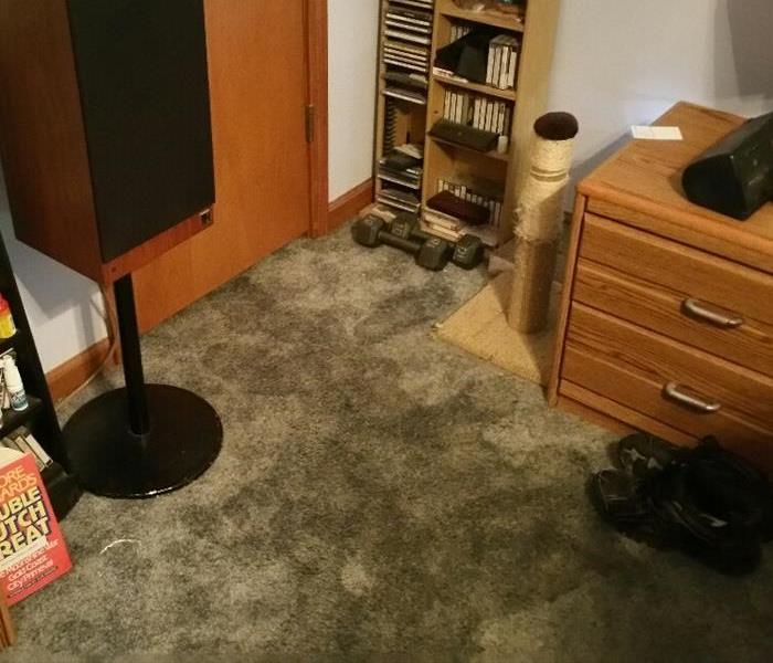 Carpet Water Damage in Bedroom