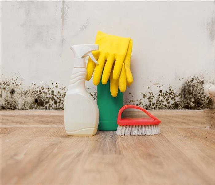Brush, spray bottle, yellow rubber gloves background of a wall with mold